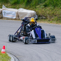 FwT1kart