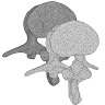 VRscience3D